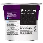 Epigamia Greek Yogurt - Wild, Raspberry, 90 g