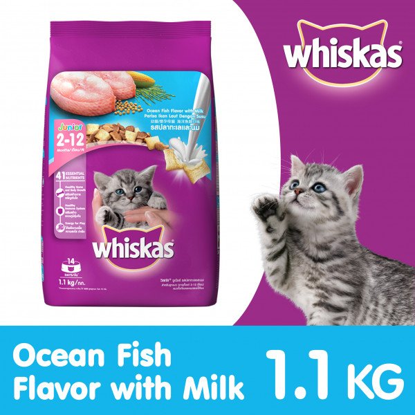Whiskas Dry - Junior Ocean Fish 1.1kg + Wet Tuna in Jelly (for Kittens) 85G Pack of 12,