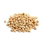 Corriander Seeds / Malli / Dhaniya – 500g