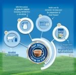 Nestle Everyday Dairy Whitener - Milk Powder For Tea, 400 g Pouch