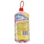 Freshomz Premium Sanicubes (200 gm)