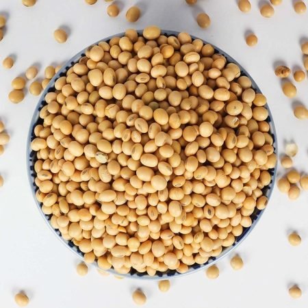 SOYA BEANS | SOYA Bean Seeds | High Protein & Fiber