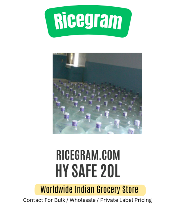 HY SAFE 20L
