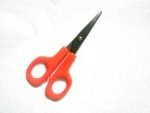 Scissors Shilpa