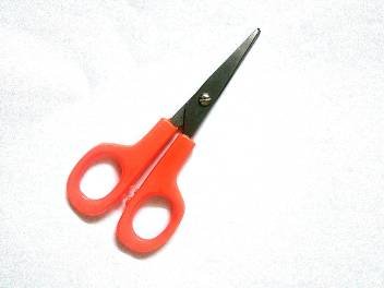 Scissors Shilpa