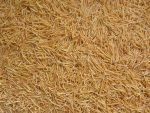 Thulasi Roasted Vermicelli 160g