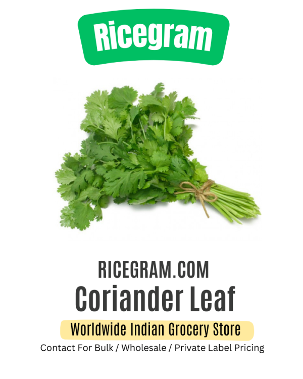 Malli Keerai | Coriander Leaf | Kottamalli leaf